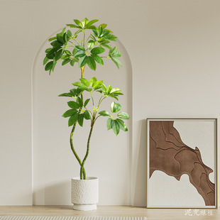 �¿����ֲ�ﱣ�_���~�����������Կ͏d�҃��b����L����Gֲ