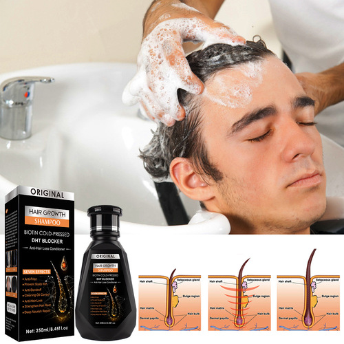 Disaar Cross-border Ginger Shampoo Cleansing Hair Firming Hair Care Wholesale Hair Growth Shampoo