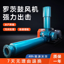 ����Ҷ�޴Ĺķ����ˮ������������ˮ����ֳ��������ѹ�޴ķ��
