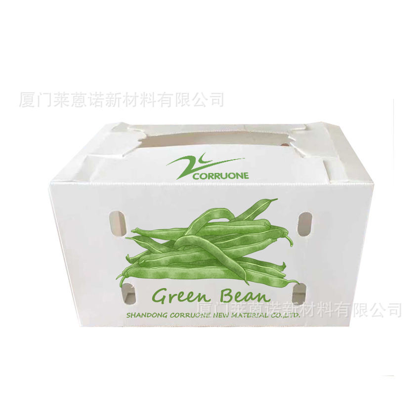 Caja de frutas y verduras de placa hueca pp personalizada plegable impermeable frutas y verduras frescas de transporte de cadena de frío Caja de plástico de calcio image 16