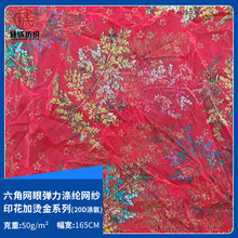 20D涤氨六角网眼弹力涤纶网纱印花加烫金系列网布 时装女装布料