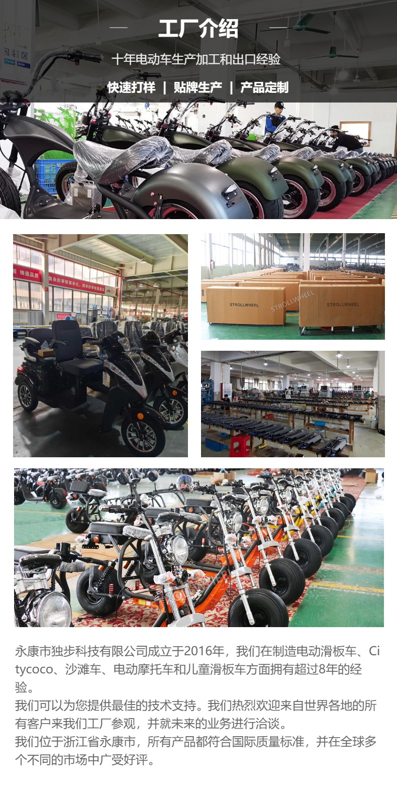 Factory Direct Shipping M1P Harley Electric Motorcycle for City Riding 2000W 20Ah Balance Scooter Custom Processing