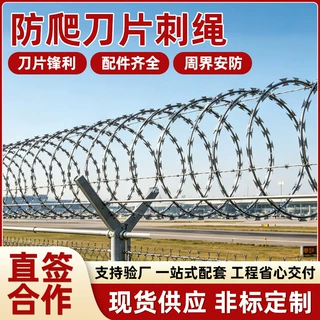 刀片刺绳刀片刺网刺丝滚笼刀片刺绳防护网不锈钢刺丝滚笼刺网带刺