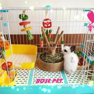 Luffa Hanging String Pet Toy Rabbit Dutch Pig Cat Cat Grinding Teeth Grass Resistant Large Carrot Tree Pack