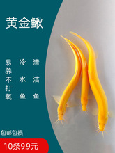 ��ˮ�S�����q���ɫ�坍�~�����~�������B�ͻ��¾����^�pС���~