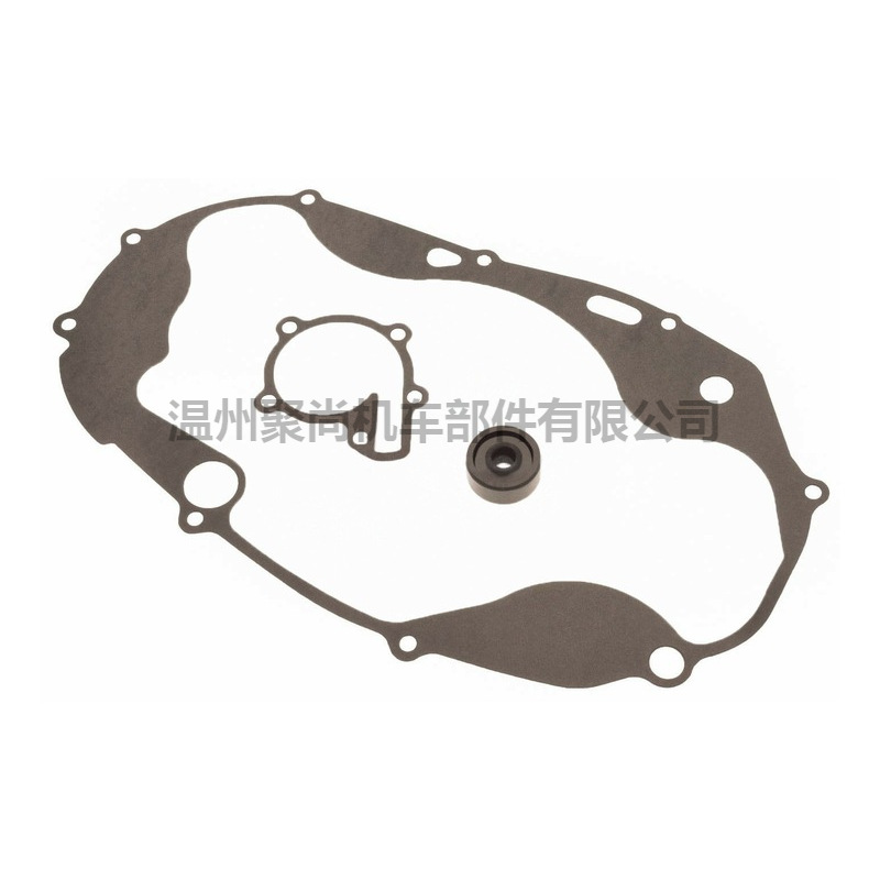 Banshee 350 YFZ350 Water Pump Rebuild Repair Seal