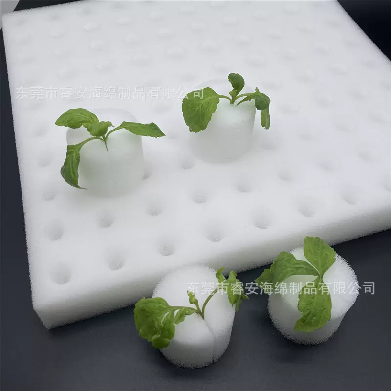 圆形固根定植种菜海绵无土栽培蔬菜水培育苗基质定植棉种植海绵块