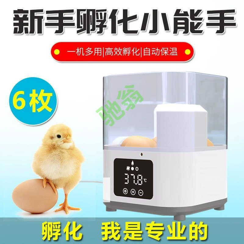 Yut автоматическая инкубатор автоматическая инкубатор для переворачивания яиц 6 цыплят, утка, попугай, теплая яйцо, рутин, куриный голубь, перепел, инкубатор