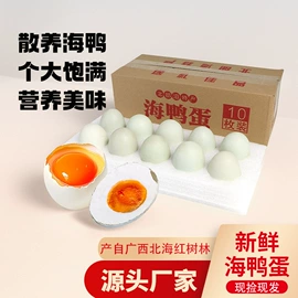 咸蛋类;其他蛋制品;鱿鱼零食