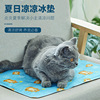 Pet ice pad Soft ice Gel summer Sleeping pad Kitty cool and refreshing cooling Cooling mat Dogs summer sleeping mat Cushion