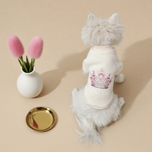 新品服装秋季潮酷无帽圆领卫衣猫咪衣服蓝猫幼猫无毛猫宠物狗