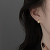 Brand design advanced earrings, trend of season, high-quality style, simple and elegant design