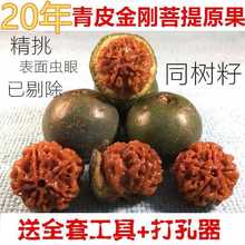新鲜青皮大金刚菩提子原籽手串四五六多瓣散籽红黄皮爆肉通货