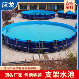 大容量户外帆布支架水池 组装支架鱼池 多规格支架鱼池