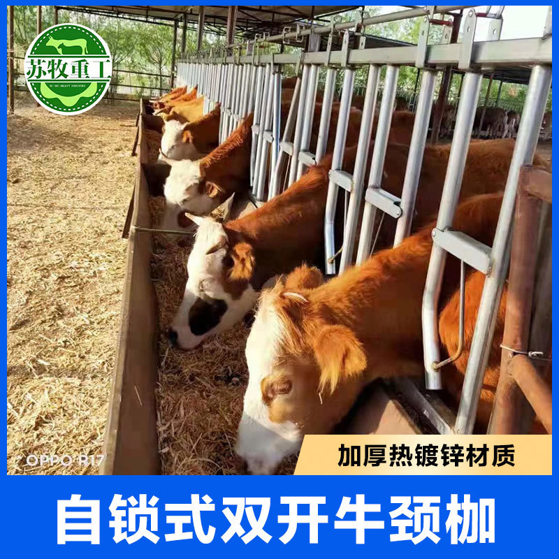苏牧畜牧用双开牛颈枷大角牛用热镀锌牛颈夹固定牛只结实耐用养殖