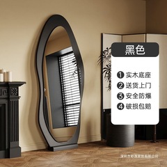 中古全身镜家用落地镜网红异型镜壁挂高级感穿衣镜卧室试衣镜子