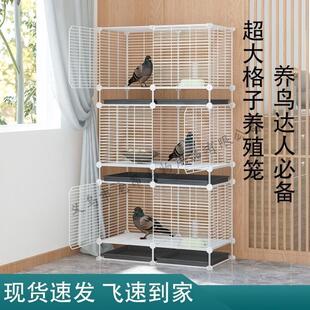 �B�\diy���û�Ƥ�������P�W�^�������Bĵ����ü����ϴ�бP�B�C