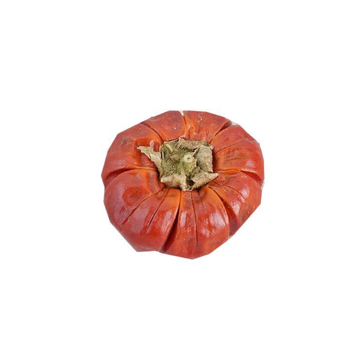 ハロウィーンのカボチャの乾いた花ブラジルの輸入天然植物クリスマスの祝日は乾いた果実の家庭装飾を飾っている|undefined