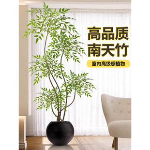 ���������Կ͏d����҃ȾGֲ����ֲ������k���һ����Ϙ�����쾰