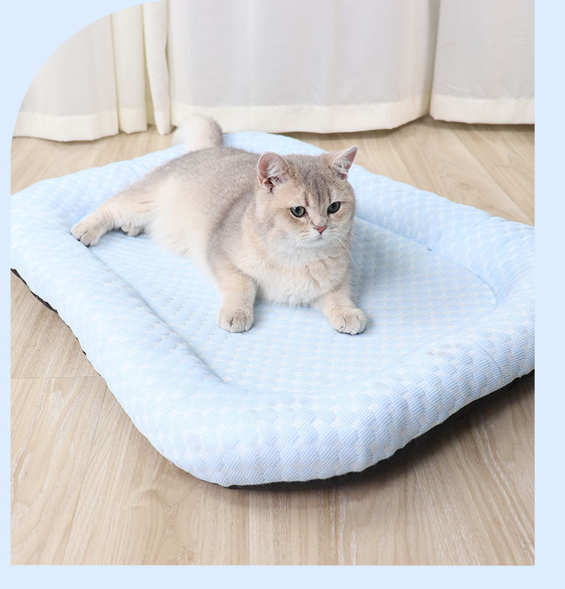 C-_Users_Administrator_Desktop