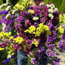 һļNNӶͥԺֲﻨͺܷN