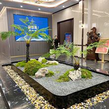 ����Gֲ�쾰�M���̈��҃Ⱦ��^�����b�ֲ�����˽������[������