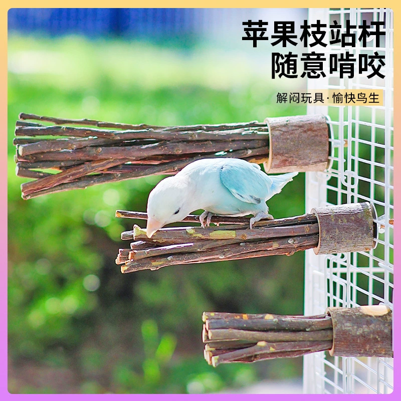 Перо, яблоневая древесина, жевательная палочка, жевательная ветка для снятия скуки, жевательная деревянная игрушка, сушка яблочной ветки, шлифовка когтей.
