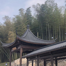 �N�ۈ@����Ƭ������Ů�����Ž��T�������bڻ�ɫ�¹��߷¹Ž���