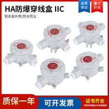 AH防爆接线盒DN20/铝合金IIC防爆过线铸铝穿线盒一二三四角通IP65