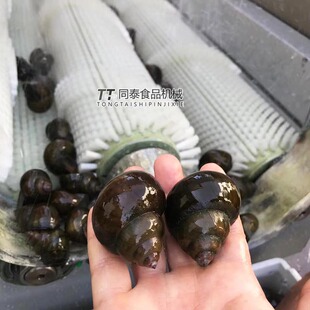 �Ԅ�ëˢϴ���ݙC�� ��������̦��ϴ�C ϴؐ���ëˢ�C