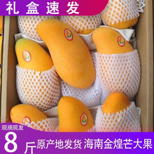 特大金煌芒果斤新鲜热带水果贵妃芒水仙甜心芒海南特产顺丰礼盒