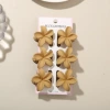 #13 Light Coffee [Set of 6 with Cards] 4cm Plumeria Style