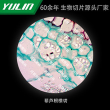 ޼�J���M�и�У�t�WԺУ�ýM������ʯϞ��Ƭ�˱��@΢�R