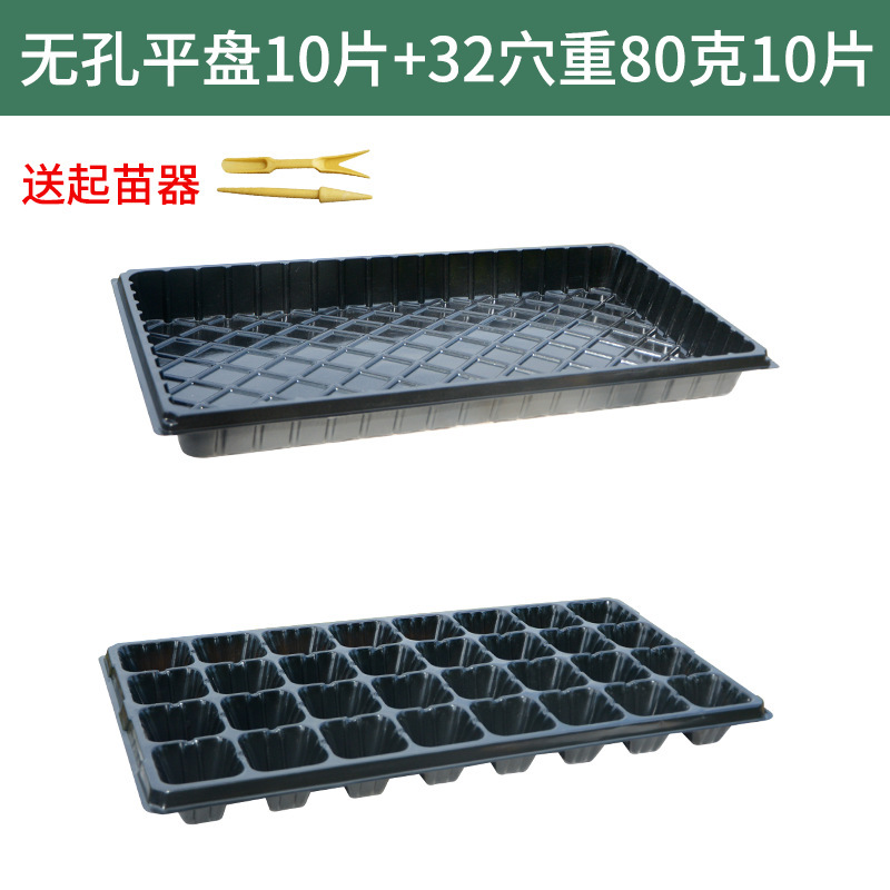 培養ボックスポット苗、増粘挿し木、多肉植物栄養ボウル、苗トレイ、スプラウトボックス、植栽穴トレイ、プラスチック多肉植物|undefined