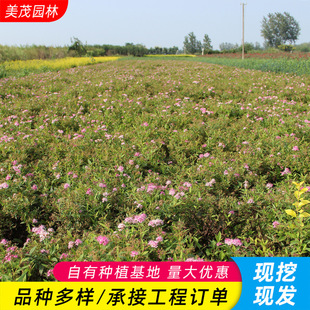 �����ջ���  �ۻ������� ���潑���� ���~������ ���~������