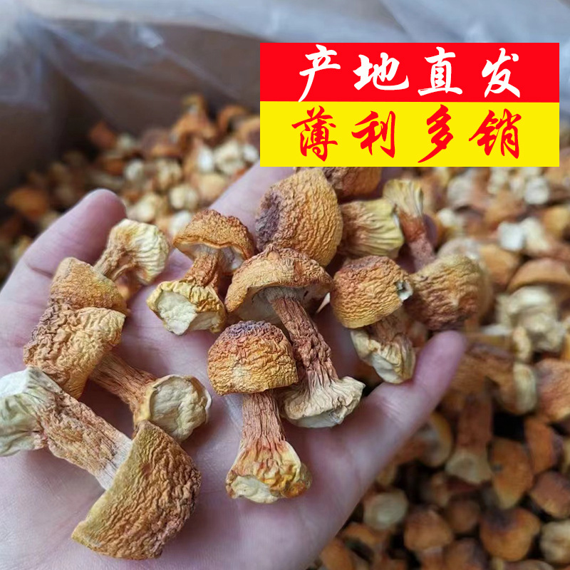 云南姬松茸产地直销批发巴西菇精品新货菌菇土特产蘑菇干货