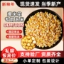 家用膨化球形商用玉米粒