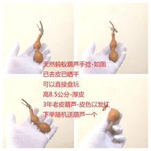 ���JΛρ���S������С�ְ��������ν≺����P����ѷN
