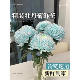 ĵ���վջ��r�����ֱ�l�r�л��҃�ˮ����ò廨�����L���B���滨