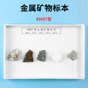 Metal Mineral Specimen J49007 Primary School Natural Science Popular Science Teaching Instrument Primary and Secondary School Teaching Aids Experiment