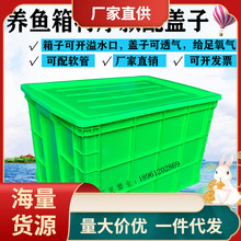 C4WB特大号养鱼龟箱带排水口阀塑料箱加厚透气孔水产养殖可带盖周