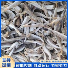 小鱼网带式烘干机 虾皮全自动烘干设备 电加热隧道式烘干流水线