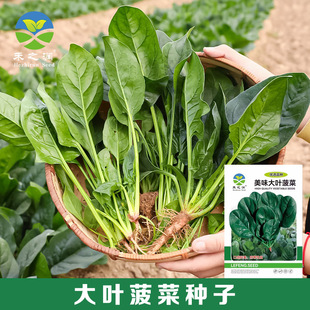 ���~���˷N���ͺ��������＾������ſ�ز����ļ��˷N�ӏS�����l