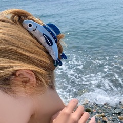 韓国ブロガーと同じスタイルの女性用イワシ酢酸クリップ、クリエイティブでキュートでハイエンドな後頭部ヘアクリップ、サメクリップ