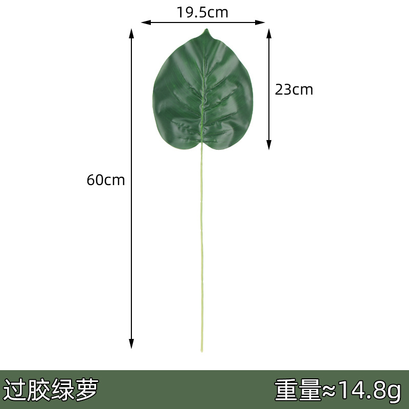 Rábano verde del pegamento