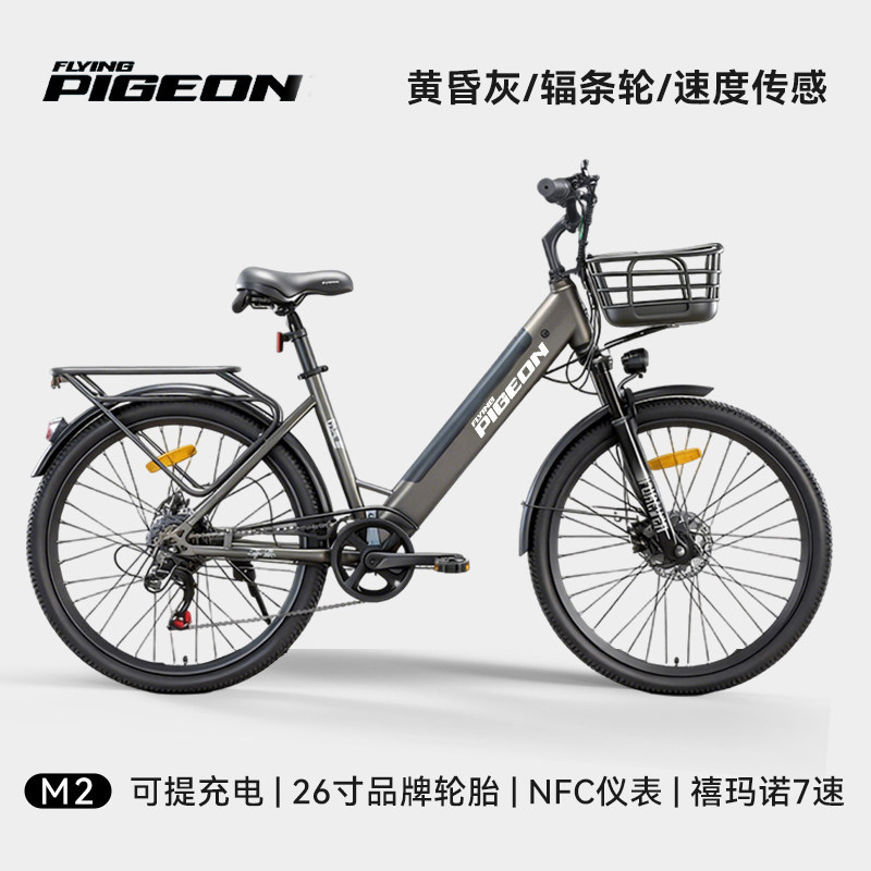 Batería desmontable paloma eléctrica asistida bicicleta de montaña nueva batería de litio estándar nacional para hombres y mujeres vehículos eléctricos de asistencia de viaje
