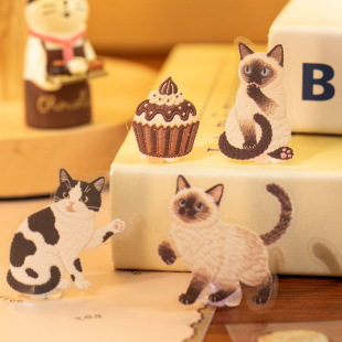 �Z�epet�N�� ������r�� �ɐ��Ȍ���ˮ�D���֎��֙C����diy�b��N