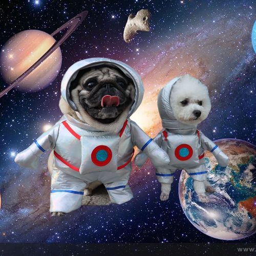 Pet Dog Astronaut Costume Halloween Funny Outfit