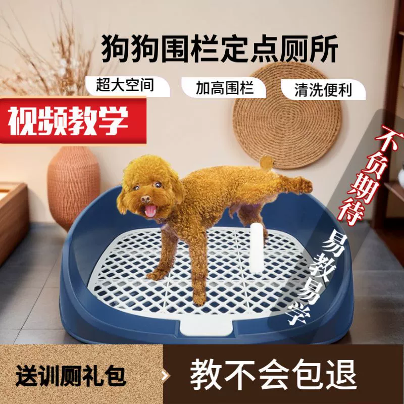 Домашние собаки индуцировали назначенную маленькую собаку в туалете