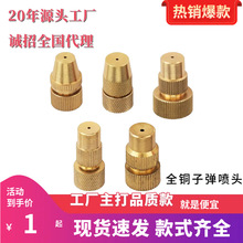 �๦�ܿ��{�F�����^���F�����^�~늄Ӵ�ș�C����ӏ����^�߉�����